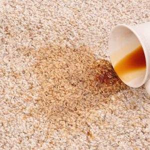 remove coffee stain from carpet