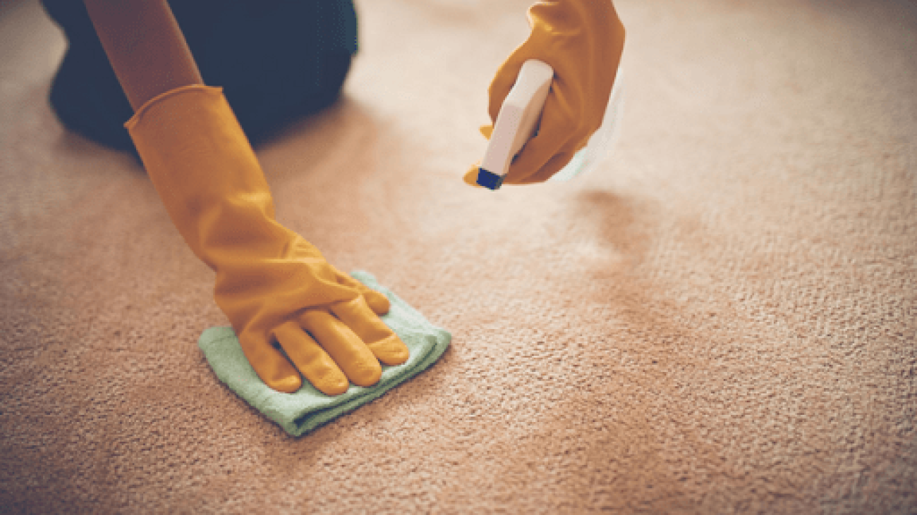 Remove the Persisted Stain from vomit on carpet