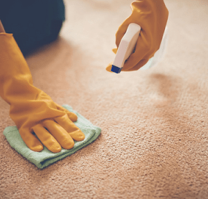 Remove the Persisted Stain from vomit on carpet