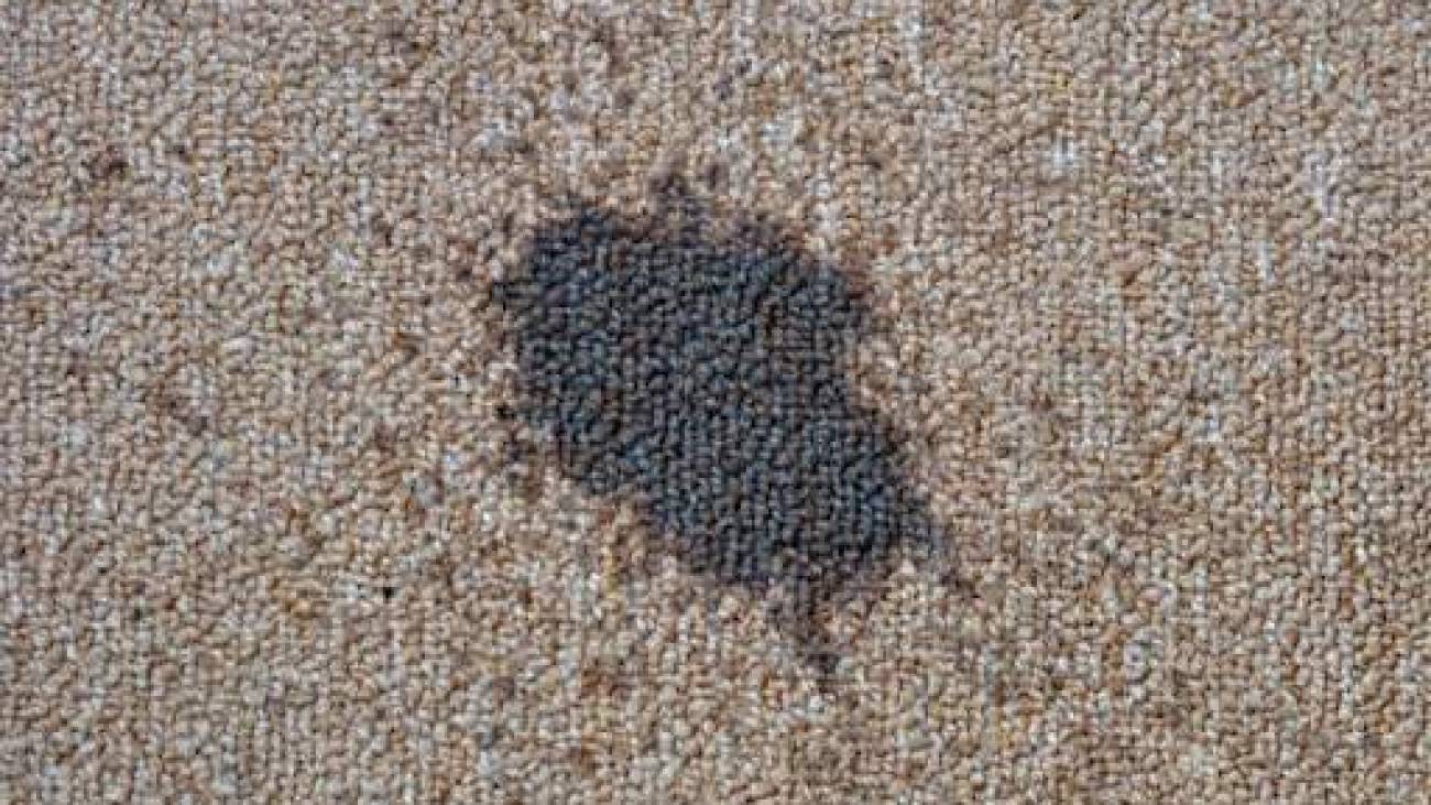 carpet cleaner for oil stains