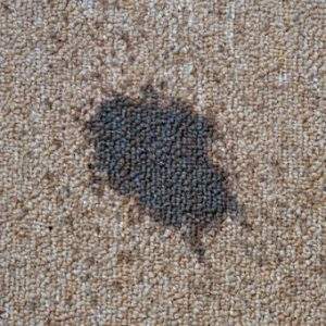 carpet cleaner for oil stains