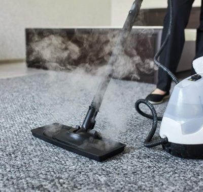 cleaning-service-company-employee-removing-dirt-from-carpet-flat-with-professional-steam-cleaner-equipment-close-up (2)