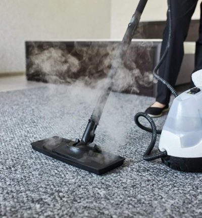 cleaning-service-company-employee-removing-dirt-from-carpet-flat-with-professional-steam-cleaner-equipment-close-up (2)