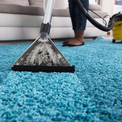 learn-how-to-clean-a-rug