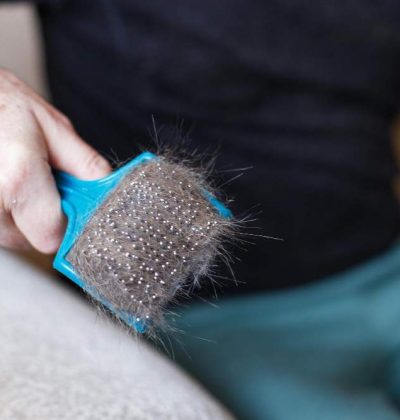 man-s-hand-holding-cat-comb-brush-with-gray-fur